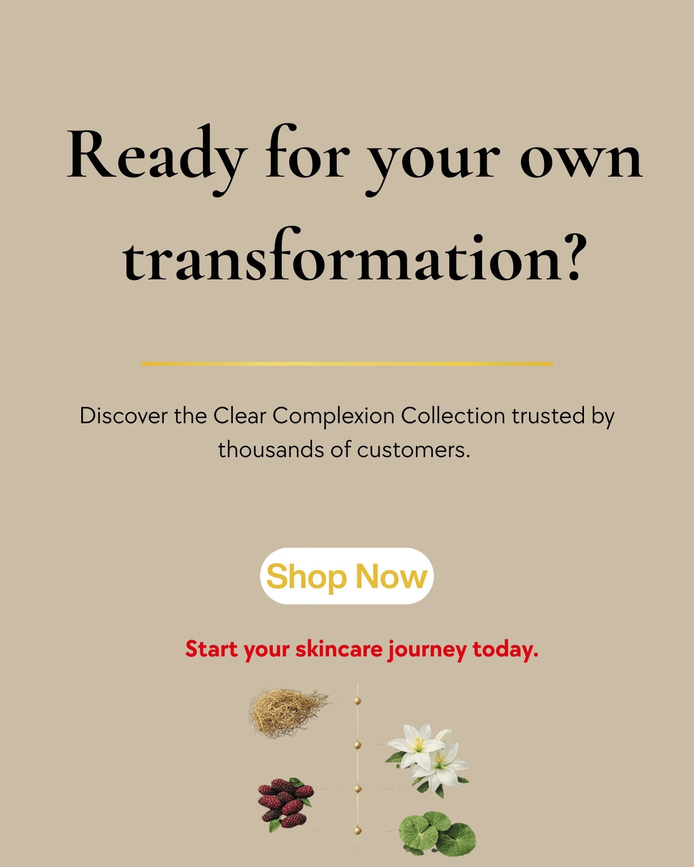 Clear Complexion Transformation System
